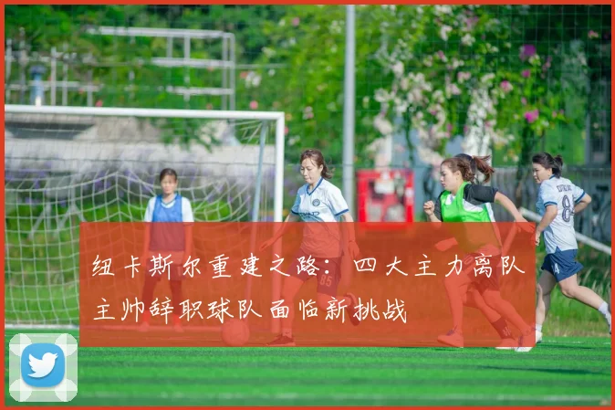 纽卡斯尔重建之路：四大主力离队主帅辞职球队面临新挑战