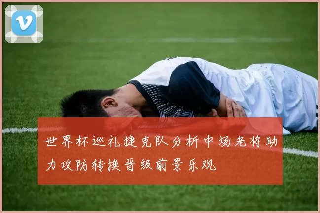 世界杯巡礼捷克队分析中场老将助力攻防转换晋级前景乐观